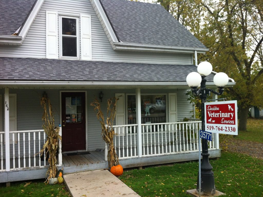 About Us Shedden Veterinary Services